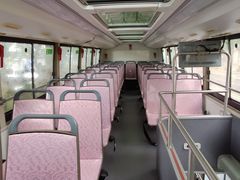 -BUS TOUR观光巴士