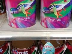 -立邦(三奇环渤海店)