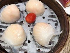 -赏点粤式点心(广州塔店)