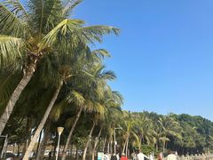 -深圳湾公园(南山区)