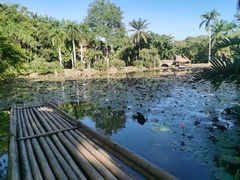 -中国科学院西双版纳热带植物园