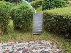 -天鹿湖森林公园