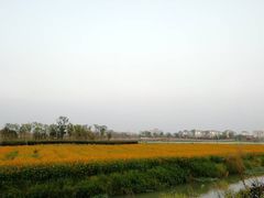 -山沟沟景区