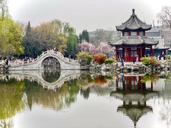 -莲池书院博物馆