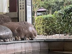 -余姚阳明温泉山庄