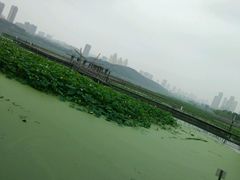 -蔡林记(珞狮南路店)