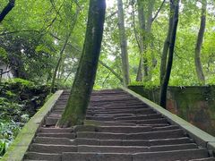 -青城山