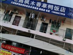 -霞姐屯昌枫木香草鸭店(海螺店)