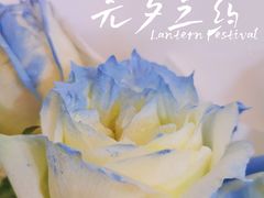 -循礼门鲜花花市(武汉循礼门店)