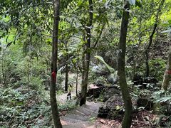 -七仙岭温泉国家森林公园