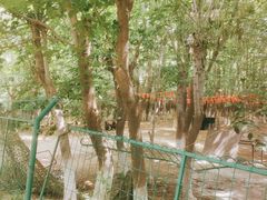 -亲兄弟真人CS团建拓展基地