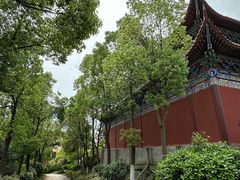 -开福禅寺