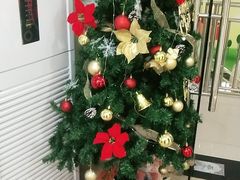 -学知乐教育·幼小衔接·小学科辅导(嘉定镇校区)