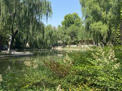 -长乐公园游乐场