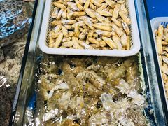 -侬佳蒸菜馆(听潮店)