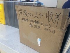 -凯瑞希宠物医院·狂犬免疫·微创·皮肤科