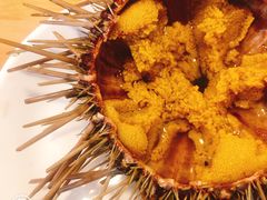 -海胆小馆(东北水饺·春柳店)