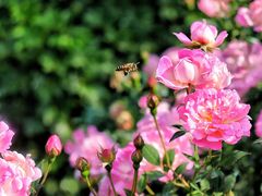 -人民公园(罗湖区)