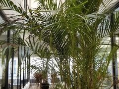 -上海市徐汇区口腔医院