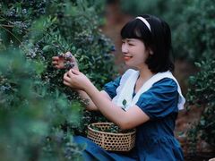 -金谷域澳洲庄园