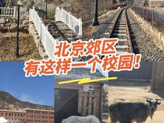 -北京市海淀外国语实验学校