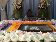 -彩虹桥宠物火化殡葬善终服务(金乐大厦店)