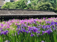 -龙头寺公园