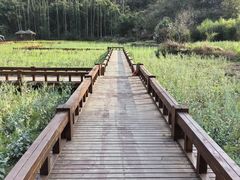 -高荡千年布依古寨旅游景区