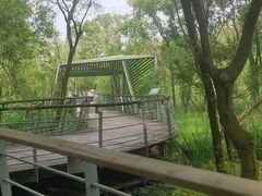 -西湖风景区-江洋畈生态公园