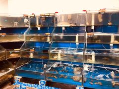 水产区-雅逸居海鲜小厨