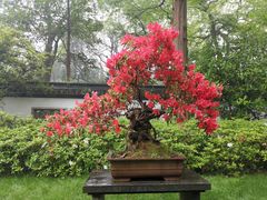 -杭州植物园