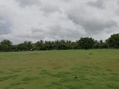 -白沙门生态公园