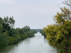 -南沙十九涌渔人码头-南门