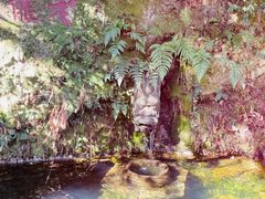 -十八棵（老龙井）御茶园(老龙井店)