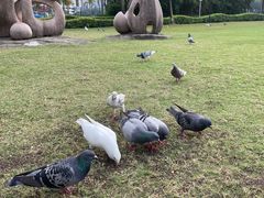 -白鹭洲公园