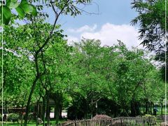 -火炉山森林公园