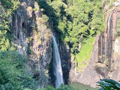 -九鲤湖风景区