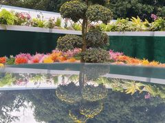 -南山植物园
