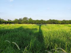 -汉长安城未央宫国家考古遗址公园