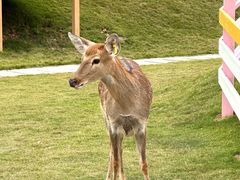 -盈香心动乐园