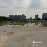 开饭了，我最大