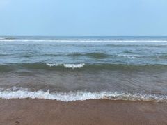-渡海小渔村.老辈日照菜