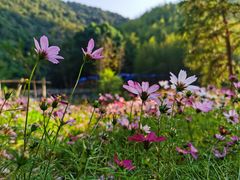 -千泷沟大瀑布旅游区