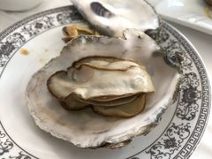 水煮生蚝-渔民船说·北塘海鲜·天津菜·海肠捞饭(北塘古镇店)