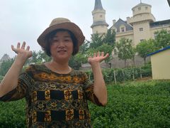 -北京张裕爱斐堡酒庄
