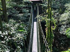 -新加坡飞禽公园
