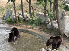 -石家庄市动物园