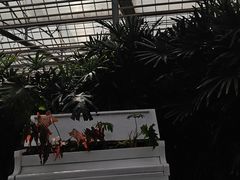 -上海鲜花港