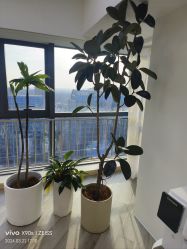 -HEYAN荷妍专业脱毛连锁机构