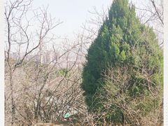 -府君山公园